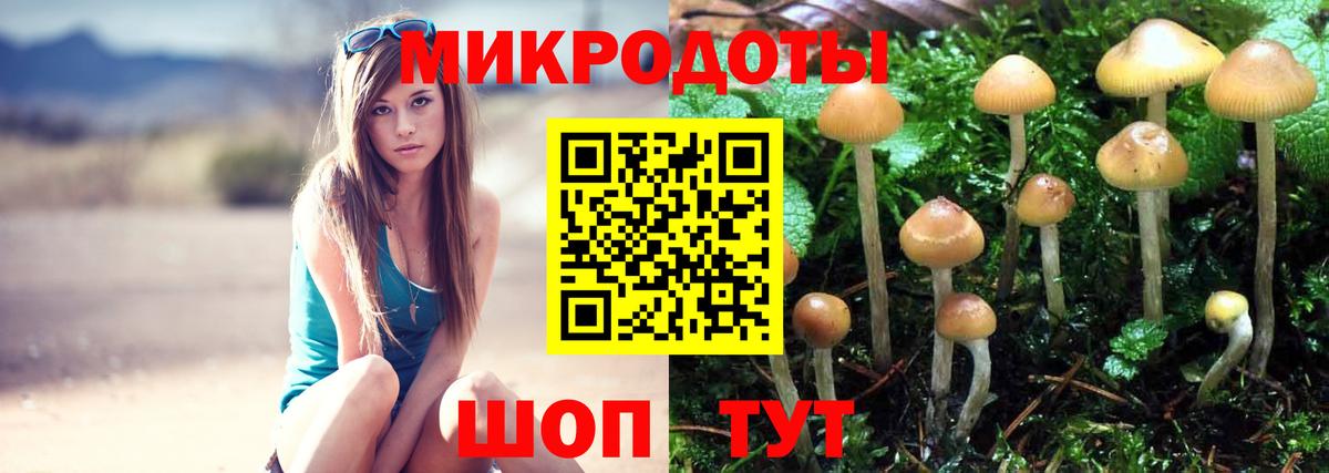 закладки  Псилоцибиновые грибы GOLDEN TEACHER  Вход с VPN  Дзержинский 